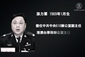 落馬的公安副部長孫力軍 迫害法輪功內幕