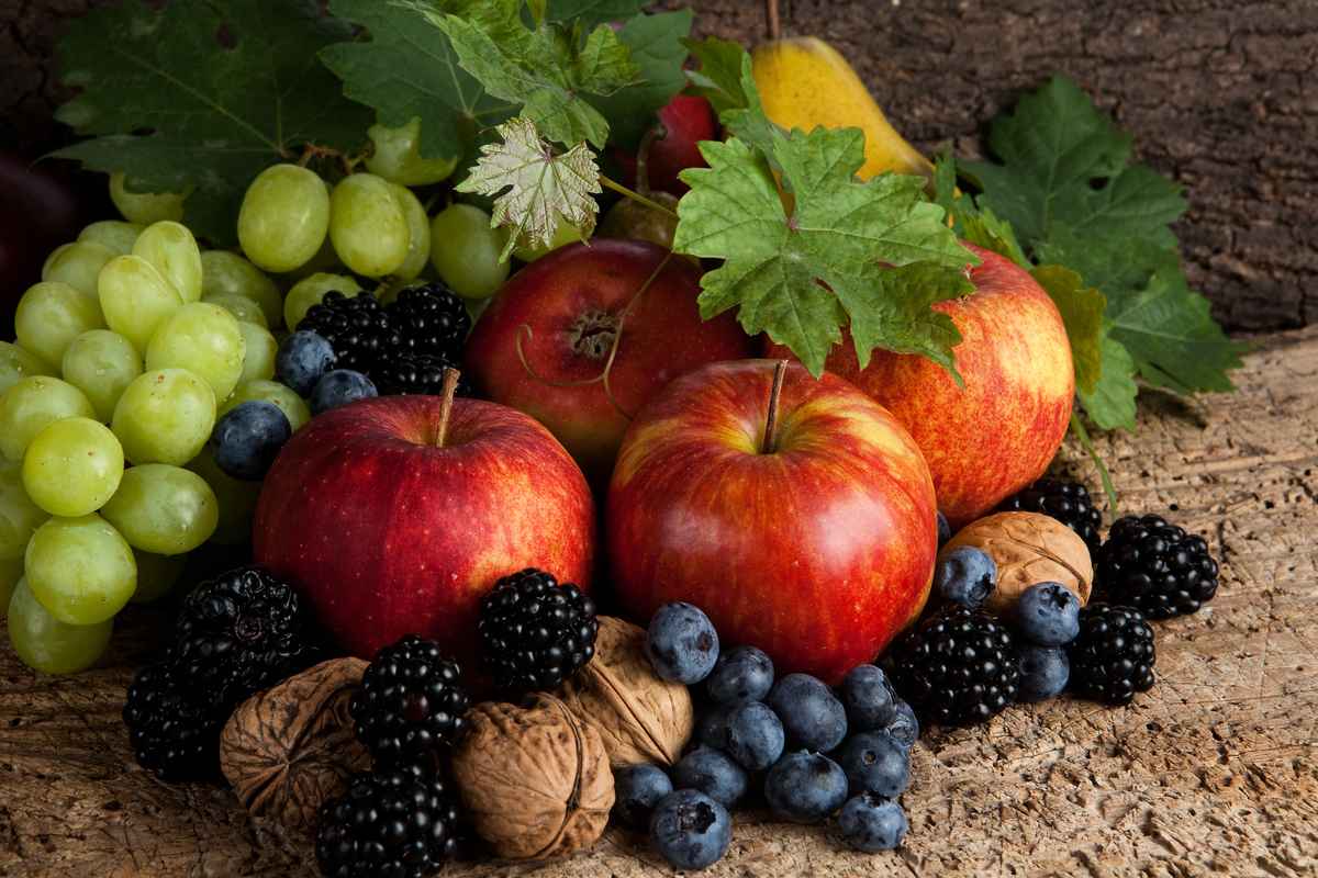 每天吃多種水果被認為對健康有益，其中5種水果最突出。（Shutterstock）