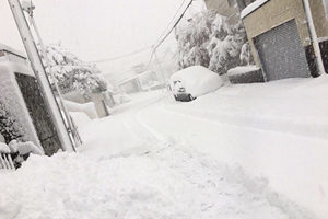 札幌11月大雪交通受阻 積雪創21年紀錄