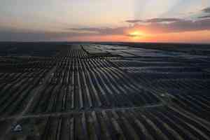 油價難救產能過剩 中國光伏業憂生存危機