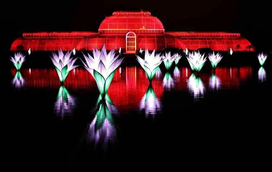 【圖輯】世界多地亮起節日綵燈 喜迎聖誕