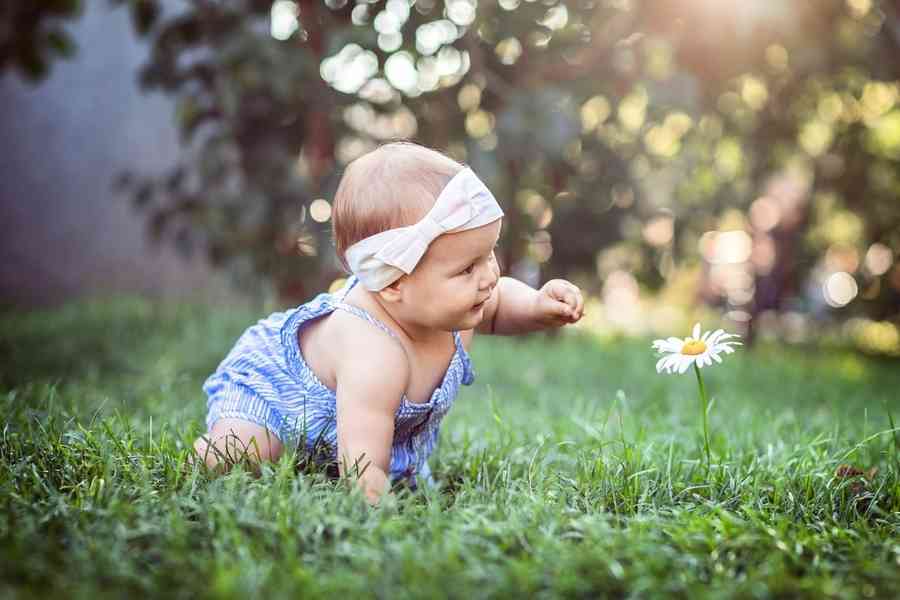 教育孩子的秘方——從家中、從學前開始