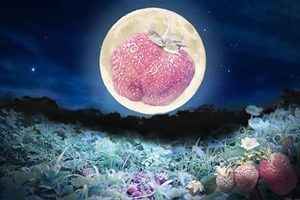 迎接夏至 明天將現「草莓月亮」