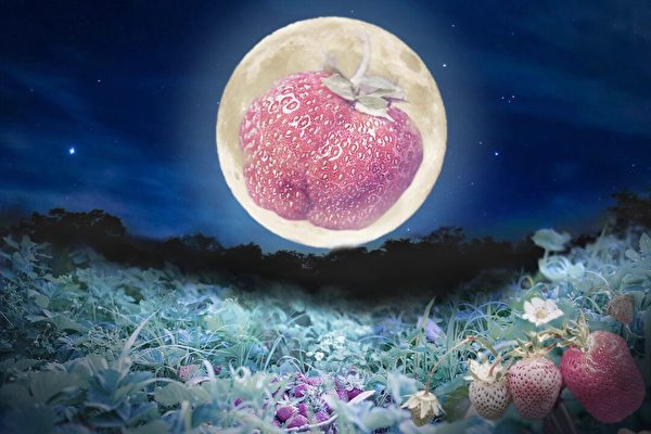 迎接夏至 明天將現「草莓月亮」