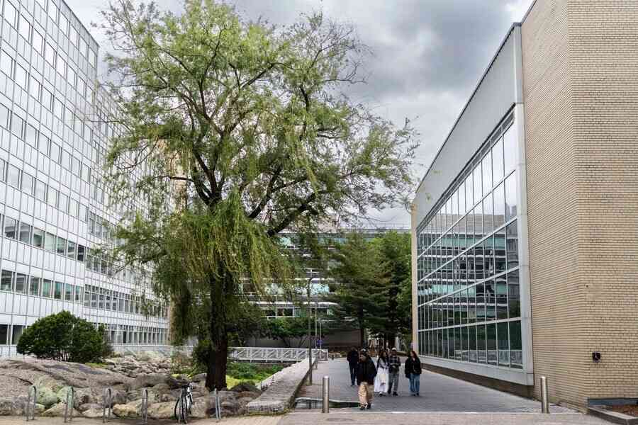 最具創新力的十所美國大學 榜首非頂級名校
