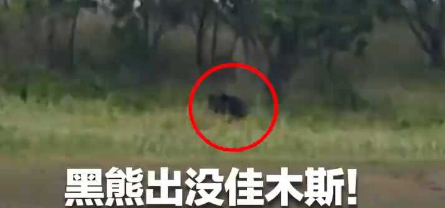 佳木斯黑熊出沒 追逐垂釣民眾和車輛