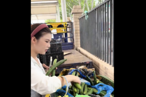 中國經濟蕭條 年輕人開始撿剩菜吃