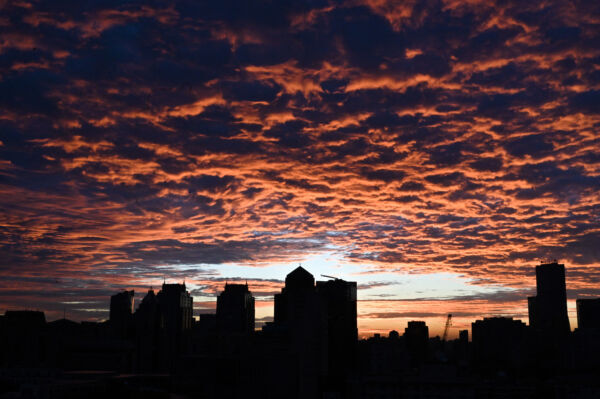 桐雨：針對「中國人仇美」心結（上）