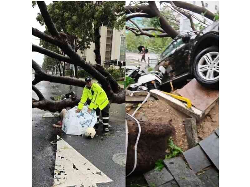 颱風「劍魚」肆虐海南 豪華酒店大門被吹掉