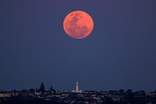 2023年9月29日，澳洲悉尼，當地觀測到的「超級月亮」現象。（David Gray/AFP）