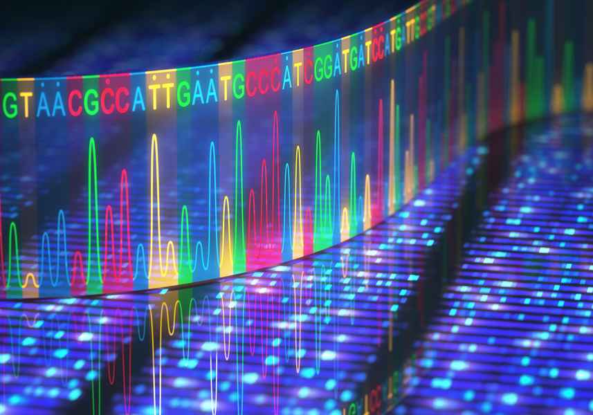 科學家發布新版基因組 關注人類DNA多樣性