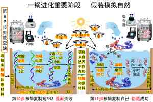 進化騙局（25） 核酶無影 太空穿梭（下）