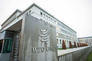 台灣首任WTO大使談中共入世20年劣跡