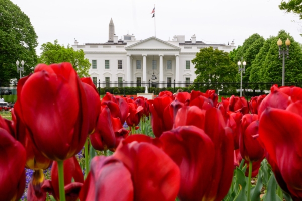 特朗普發復活節聲明 願這一天充滿和平歡樂