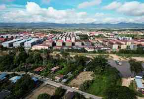 廣州女大學生應邀去泰國 被賣至緬甸電詐園