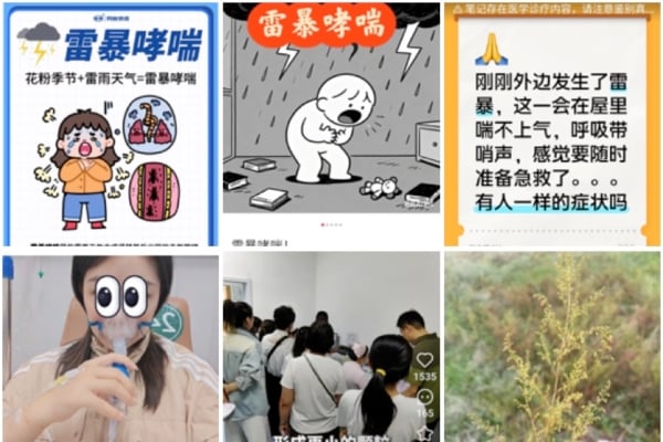 中國大陸最近至少有6省出現雷暴哮喘現象,醫院短時間急症爆滿,患者集中在山西、內蒙古、寧夏、北京、天津、河北等地。(網絡截圖)