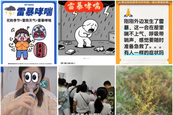 大陸六省出現「雷暴哮喘」 醫院爆滿