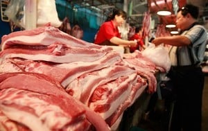 報告：中共阻豬瘟蔓延 控制肉價措施無效