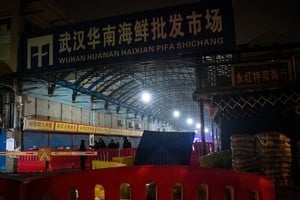 武漢華南海鮮市場內部整拆 民眾議論紛紛