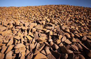 澳鐵礦石5月對華出口增20% 再創新紀錄