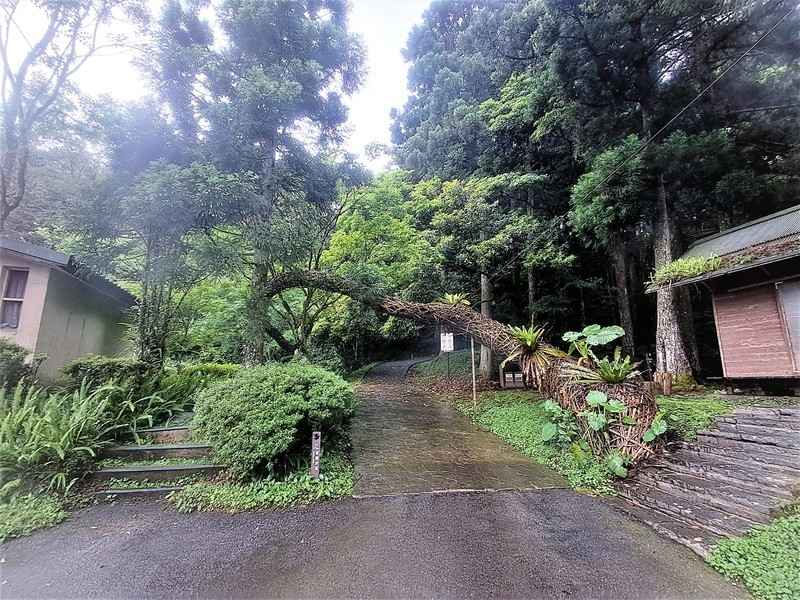 山林「森」呼吸 漫步林業遺跡台灣桃園東眼山步道