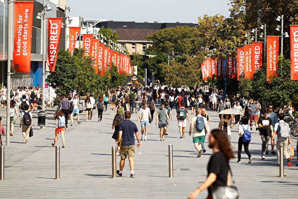 澳洲留學生入學數量下降13% 新簽證申請暴跌30%
