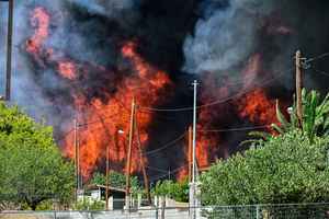 希臘24小時內81處山火 逾千兒童撤離（多圖）