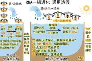 進化騙局(22) RNA生成的荒誕戲