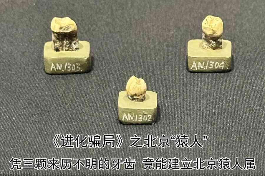 進化騙局（7） 北京「猿人」的高超騙術