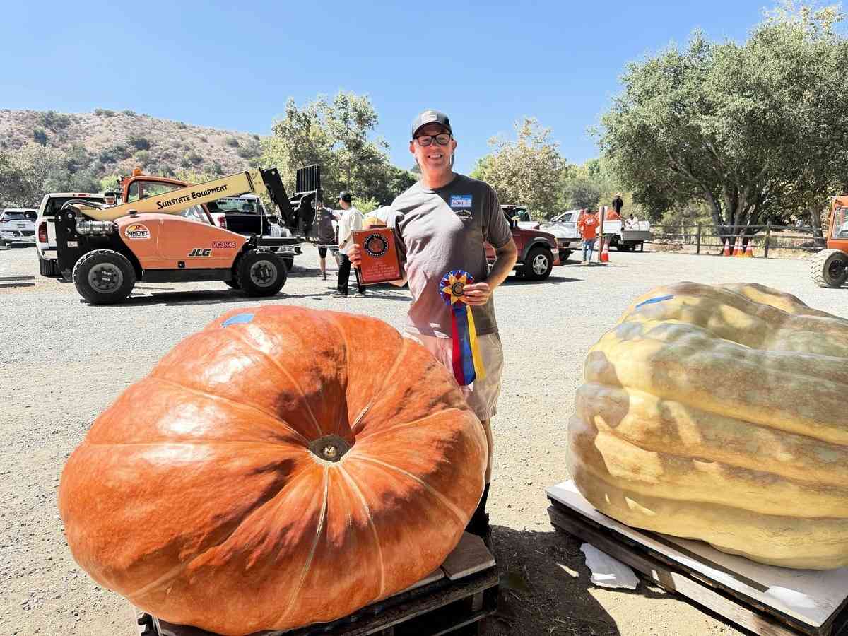 2025年9月20日,第10屆年度種植南瓜稱重大賽(Great Pumpkin Weigh-Off)在爾灣地區公園(Irvine Regional Park)舉辦。圖為來自丹納角(Dana Point)市的加里·托維(Gary Tovey),他種的南瓜重1,044磅,名列第三名,並獲得最美南瓜獎。(李梅/大紀元)