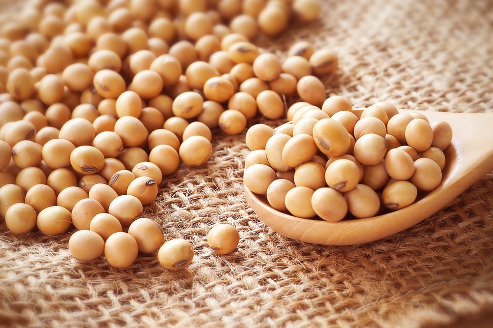 網上流傳的說法表示大豆會增加乳腺癌風險、讓男性變得女性化。（Shutterstock）