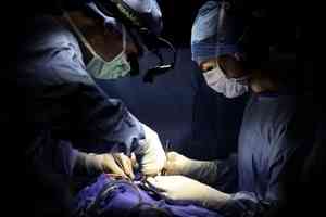 世界著名學術出版機構撤回八篇中國器官移植論文