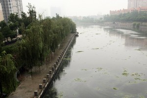 秦淮河大堤被挖空建餐廳 涉事機構連夜拆除