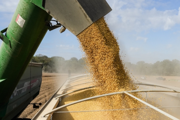 美國農業部長：兩周內敲定農民援助方案