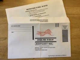 紐約州郵寄選票下周開票