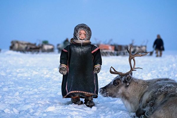 【圖輯】西伯利亞最後一批馴鹿牧民的罕見照