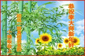 大陸民眾新年感謝法輪功 問候李大師