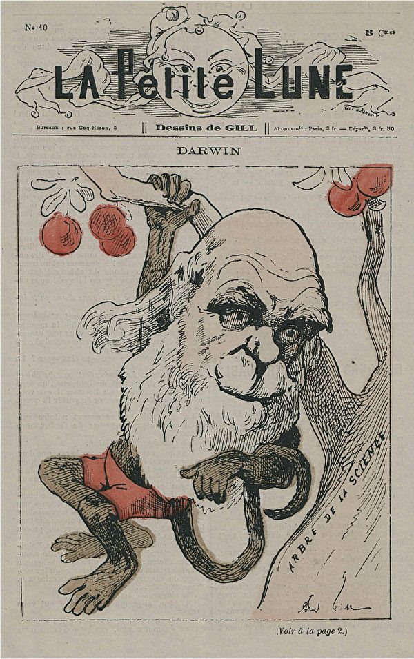一幅揶揄演化論的諷刺畫，描繪擁有「猴子身體的達爾文」，作者Andre Gill（1840–1885）。（公有領域）