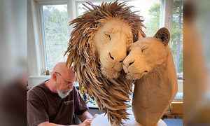 藝術家將舊紙箱變成細膩逼真的獅子雕塑