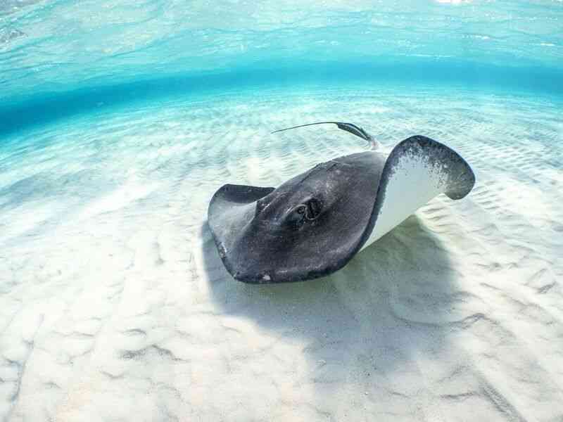 美東海岸現巨大海底淡水庫 紐約市夠用800年