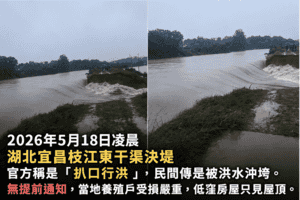 湖北宜昌枝江洩洪無預警 養殖戶受損慘重