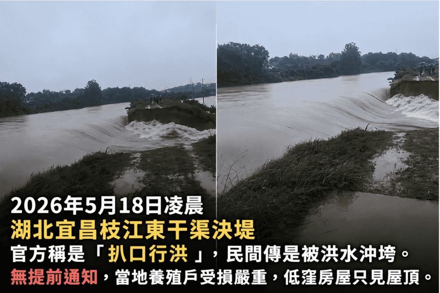 湖北宜昌枝江洩洪無預警 養殖戶受損慘重