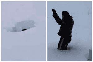 新疆降暴雪 一米八小伙跳進雪地瞬間被掩埋
