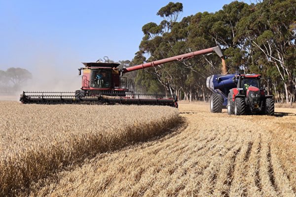 農業組織警告：澳洲恐面臨食品供應全面中斷