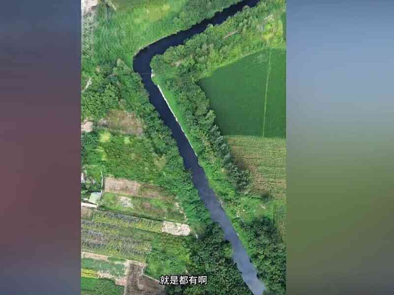 湖北孝感一河流被曝成黑水河 散發刺鼻藥味