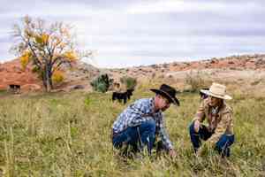 【獨家】遠離農藥化肥 美牧場主探索傳統之路