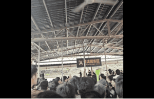 影片：五一「窮遊」亂象頻出 遊客齊喊退票