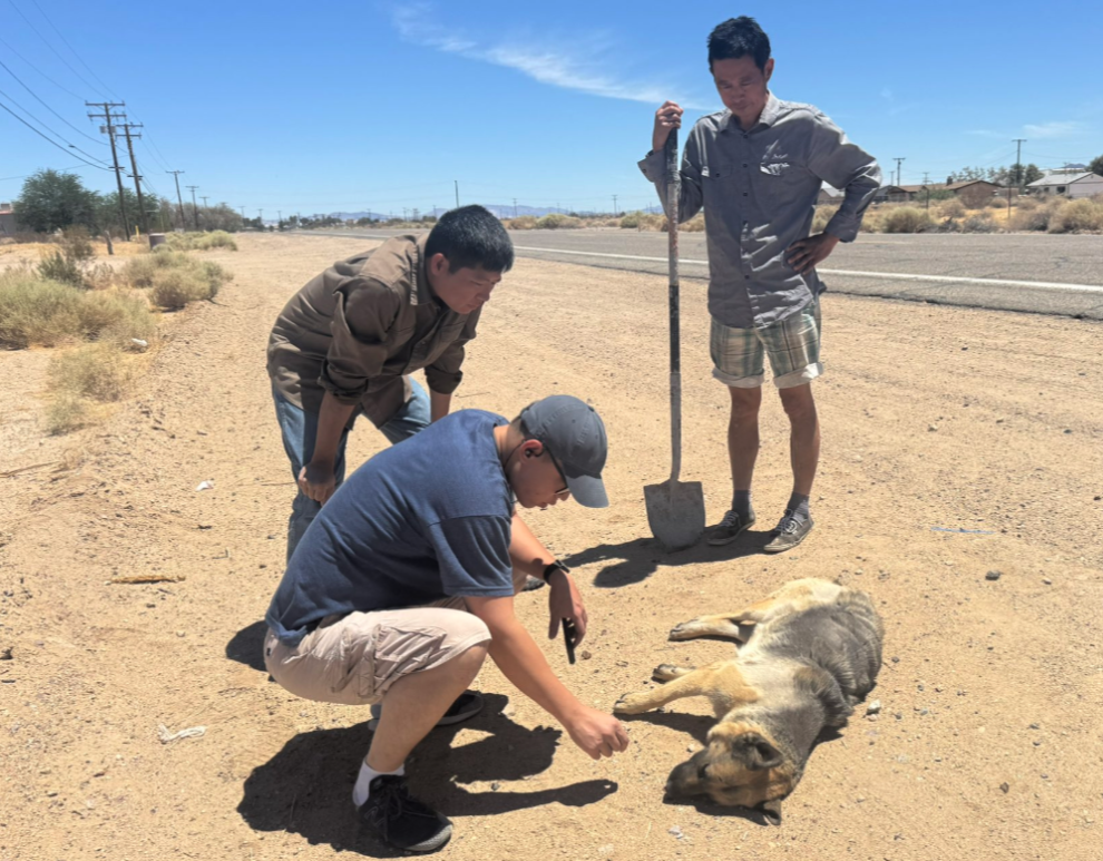 2025年7月24日,南加州自由雕塑公園的看家犬灰灰被打死,公園內多處設施遭破壞。園方研判是中共所為。(受訪者提供)