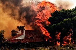 組圖：希臘爆發野火60死 居民跳海逃生