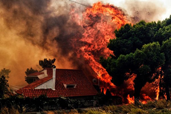 組圖：希臘爆發野火60死 居民跳海逃生